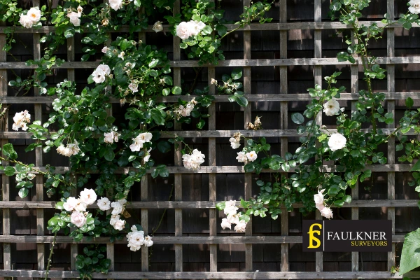 Can I put trellis on my Neighbours garage wall? 2 Do you want to adapt your neighbours garage door and add a trellis Banbury? Talk to Faulkner Surveyor Banbury
